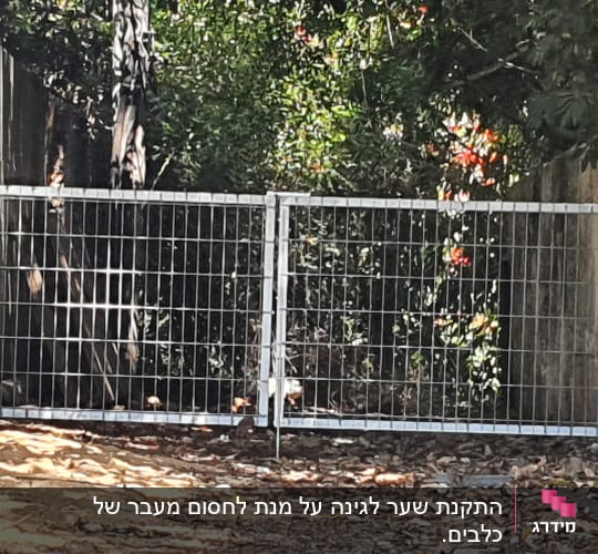 שער מתכת עם מסגרת רשת בין קירות בטון